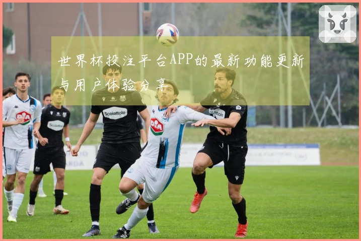 世界杯投注平台APP的最新功能更新与用户体验分享