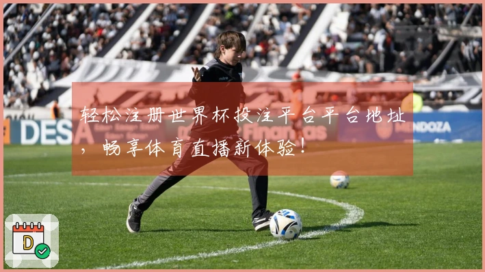 轻松注册世界杯投注平台平台地址，畅享体育直播新体验！