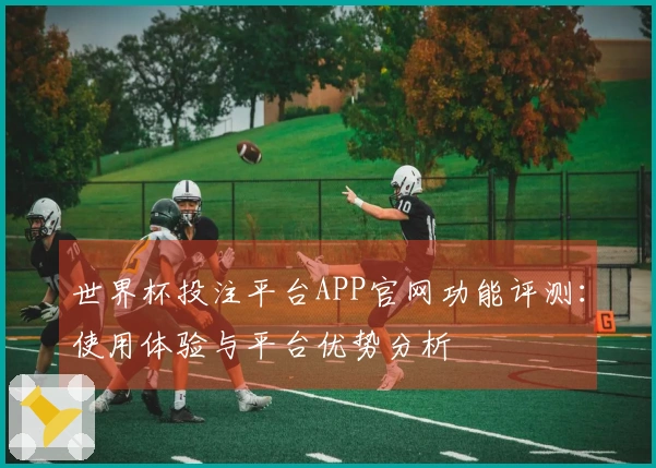 世界杯投注平台APP官网功能评测：使用体验与平台优势分析