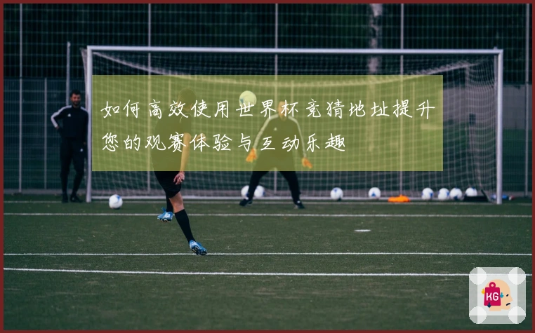 如何高效使用世界杯竞猜地址提升您的观赛体验与互动乐趣