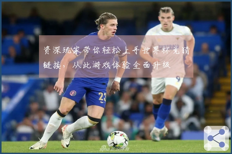 资深玩家带你轻松上手世界杯竞猜链接，从此游戏体验全面升级
