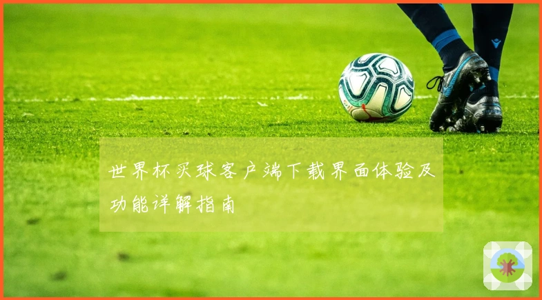 世界杯买球客户端下载界面体验及功能详解指南