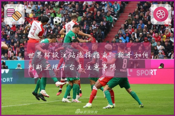 世界杯投注站选择指南：新手如何判断正规平台及注意事项