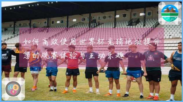 如何高效使用世界杯竞猜地址提升您的观赛体验与互动乐趣
