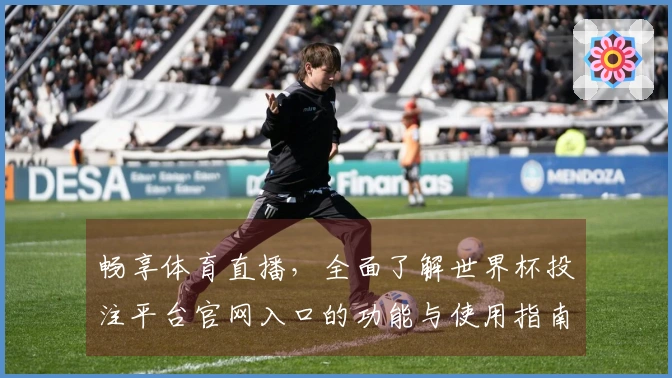 畅享体育直播，全面了解世界杯投注平台官网入口的功能与使用指南