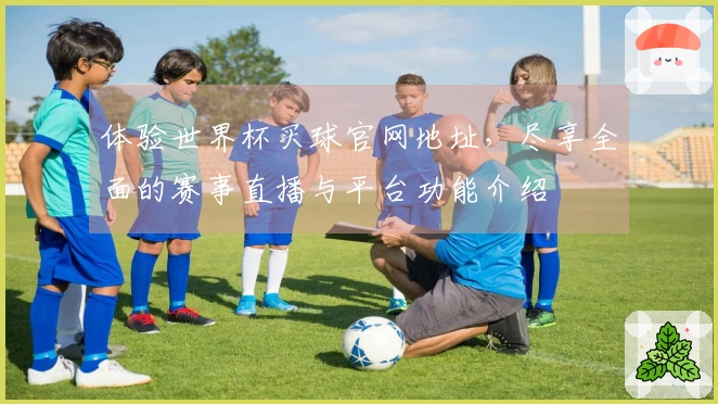 体验世界杯买球官网地址，尽享全面的赛事直播与平台功能介绍