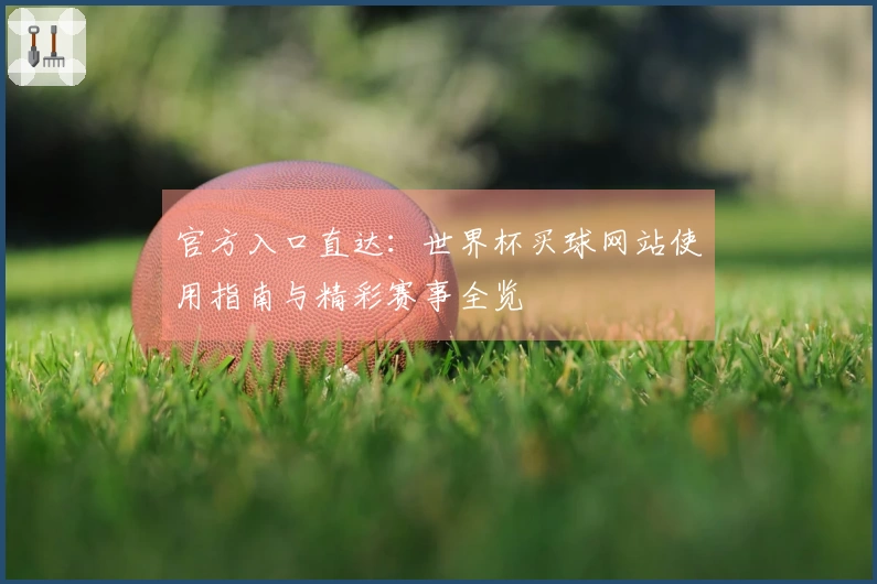 官方入口直达：世界杯买球网站使用指南与精彩赛事全览