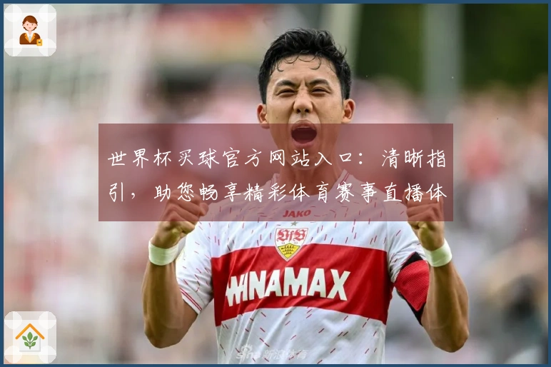 世界杯买球官方网站入口:清晰指引,助您畅享精彩体育赛事直播体验